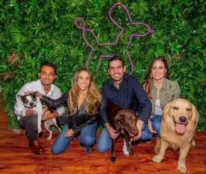 Conoce el plan de Laika para vencer el invierno de startups en América Latina