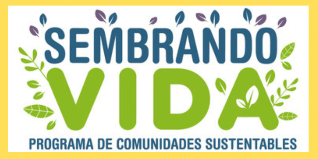 Conoce el Programa Sembrando Vida