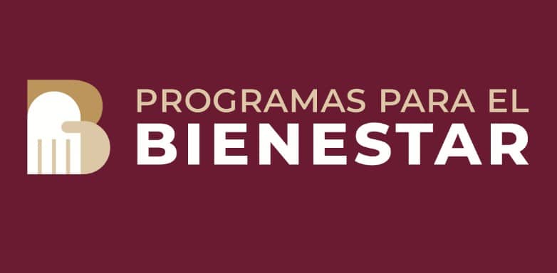 Programas para el Bienestar: Los presupuestos de los programas sociales