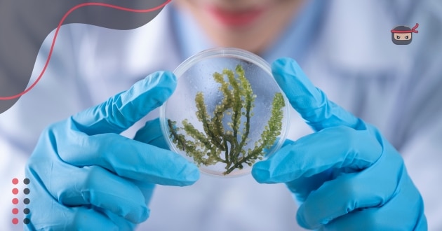 Science news recent discoveries